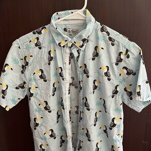 Penguin button down